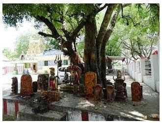 Temple view from Naga Prathistam.JPG